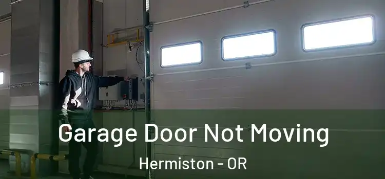  Garage Door Not Moving Hermiston - OR